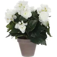 Mica Decorations Mica Decoration Kunstplant - begonia - wit - in pot - 30 cm - nepplanten