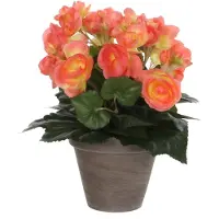 Mica Kunstbloem Begonia, hoogte 30 cm, ? 25 cm, zalm