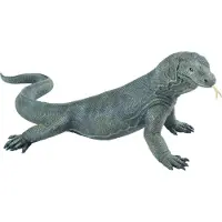 Safari - Komodo dragon
