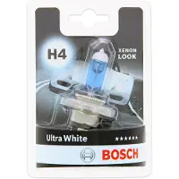 Bosch 1 987 301 152 Gloeilamp