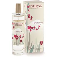 Esteban Classic Esprit de The Roomspray 75ml
