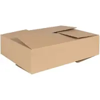 vidaXL Vouwdoos met opslag 50 st Naturel 40 x 30 x 10 cm Karton