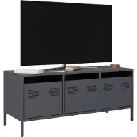 vidaXL Tv-meubel 101,5x39x43,5 cm koudgewalst staal antracietkleurig