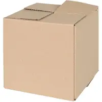 vidaXL Vouwdoos met opslag 50 st Naturel 20 x 20 x 20 cm Karton