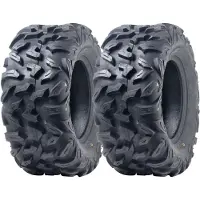 Parnells 25x10.00R12 ATV-band 255/65R12 OBOR Vulture 6ply Road Legal 67J 307kg (set van 2)