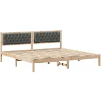 vidaXL Bedframe Donkergrijs 200 x 200 cm Massief grenenhout