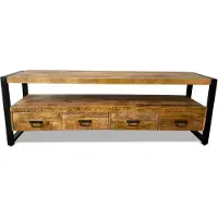 WGXL Collection TV Meubel Paul - Mangohout - 180 cm -