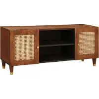 vidaXL TV Kast met plank Bruin 105 x 33,5 x 46 cm Massief Mango Hout