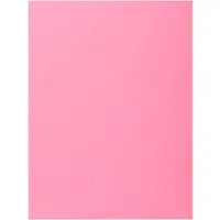 Exacompta 348003e Pink Map 100 Eenheden