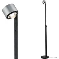 Paulmann LED-vloerlamp Aldan, dimbaar, zwart, Woon-/ Eetkamer, Aluminium, Modern, LED vloerlamp