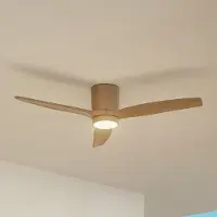 LUCANDE Sorin LED buitenplafondventilator beige - , Sorin, Beige, Woonkamer, Metaal, Modern