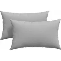 vidaXL Zitkussens 2 st Stof Wolkgrijs 50 x 30 cm