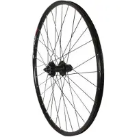 Massi Black Gold 3 Afs 29´´ Disc Mtb Achterwiel