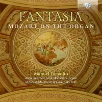 Brilliant Classics Manuel Tomadin - Fantasia: Mozart On The Organ (CD)