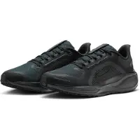 Nike Pegasus 41 GTX Loopschoenen Zwart Heren