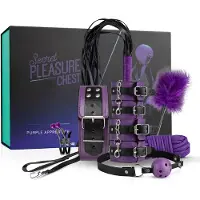 Secret Pleasure Chest - Purple Apprentice - SM - BDSM - Set - Sex Toys voor Mannen en Vrouwen - Erotische Cadeauset