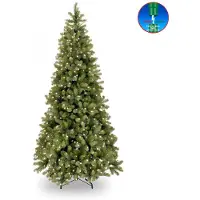 National Tree Company Poly Bayberry Slim kunstkerstboom Hinged 183 cm met 350 LED Power Connect