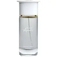 Ahmed Al Maghribi Musk Amiri