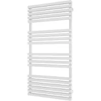 Plieger Catania radiator 120x60cm 666W wit