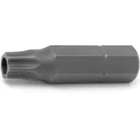 Rockforce Torx Bit T25H 1/4" L-25mm met Gat voor Schroevendraaier