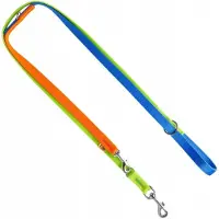 Dingo Active Verstelbare Hondenriem Sydney 1,6 x 220 cm Oranje/Blauw