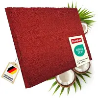 Karat Deurmat Kokos - Voor Binnen en Buiten - Deurmat van Kokos - Vuilvangmat voor Voordeur - Antislip - Voetschraper - Schoonloopmat Naturel - Rood - 24 mm - 40 x 60 cm