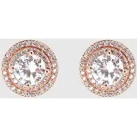 U.s. polo assn. US Polo Assn Jewellery Cristal Rosegouden Oorbellen
