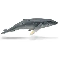 Collecta Figurine - Bultrug Walviskalf - (M) - Zeedieren - Handgeschilderd - Miniatuur