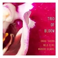 Import Trio Of Bloom