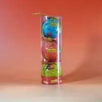 Ter Steege Set Kerstballen Plastic Tulpen Kleur, Holland: Blauw, Roze en Groen (3 stuks) - Hollandse Tulpenveld met Molen - Plastic