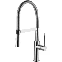 Omnires - Keukenkraan met flexibele arm en vuistdouche, chroom X3CR
