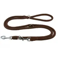 Champion Verstelbare Hondenlijn 2,5m/1,4cm - Bruin, Stevig