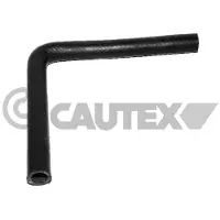 CAUTEX 996004 Radiateurslang
