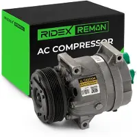 RIDEX 447K0094R Aircopomp