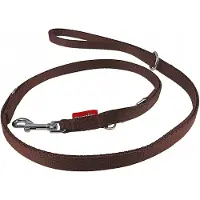 Champion Hondenlijn Verstelbaar 225cm Breed 1,6cm Bruin