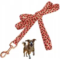 Yourdog Sterke Hondensnoer met Aardbeienprint - 1,2m