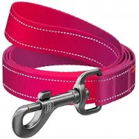 Collar WAUDOG Nylon Riem Refelctief Roze S 15mm/200cm