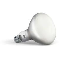 Flos LED R80 dimbare matte lichtbron E27 2700K 1300lm 13W