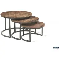Molecule Salontafel Arnod 3-delig mangolia hout en metaal nestbaar rond