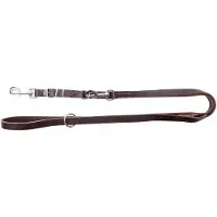 Dingo Verstelbare Leren Hondensnoer 1,5x220cm Bruin
