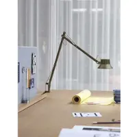 Muuto Dedicate Bureau Lamp Brown Green | L2 | Clamp