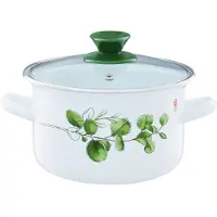 Emalia Emmeren Pan met Deksel Eucalyptus 22cm 5L - Gezond Koken