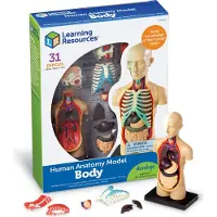 Learning Resources Anatomy Model - Human Body - 3+