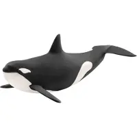Schleich WILD LIFE - Orka - Speelfiguur - Kinderspeelgoed voor Jongens en Meisjes - 3 tot 8 jaar - 14807