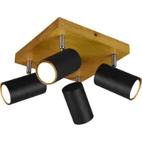 TRIO 812400432 Plafondlamp Marley Zwart
