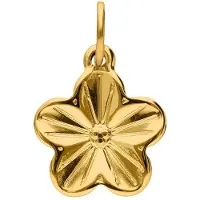 Lucardi Hangers 'Klassisch' goud