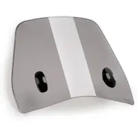 Puig Traffic 6886h Voorruit