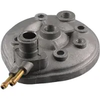 RMS Beauty Piaggio/gilera 50cc >2000 100070082 Cilinderkop