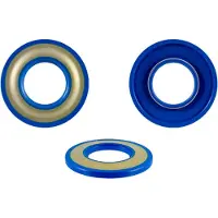 Rms Classic Piaggio Vespa Px 125-150-200cc/gl/sprint 150cc 100666020 Krukasoliekeerringen 10 Eenheden