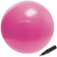 HMS Fitnessbal Nieuw YB01 | Maat 55 cm